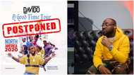 I'm postponing my sold-out show because of this 1 thing - Davido reveals safety reason