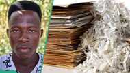 "She was manipulated": 2 weeks to travel abroad, Nigerian mum burns son's travel documents