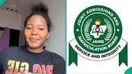 UTME 2026: Science student who checked result dances after seeing score, posts screenshot