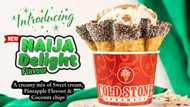 More to Love with Cold Stone’s Chocolate Mud pie and Naija Delight Flavours