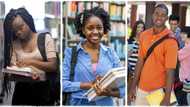 "They charge N3.8 million": Lady reveals top university in USA that Nigerians can attend for free