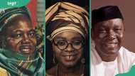 Top 30 heroes and heroines in Nigeria and their contributions