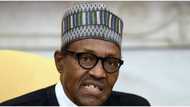10million pupils currently benefiting from FG’s feeding programme, says Minister