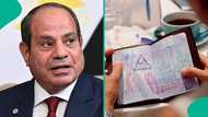 Egypt releases official list of nations cleared for free entry and visa on arrival in 2026