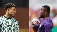 Stanley Nwabali receives support from Super Eagles legend amidst goalkeeping controversy for Nigeria
