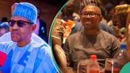 Peter Obi is similar to Buhari, PDP chieftain draws similarity