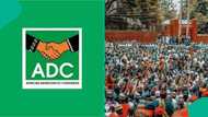 2027: APC, NNPP, PDP members join ADC in Jigawa, full list of prominent ones emerges