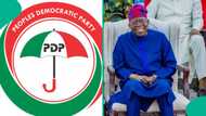 Did PDP endorse Tinubu for second term? Fact emerges