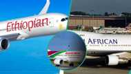 Air Peace, Dana, Max Air, other Nigerian airlines missing from 10 best-performing airlines in Africa