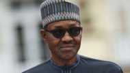New APC group emerges, vows to showcase Buhari's achievements, blasts PDP