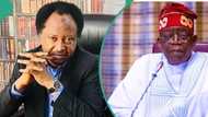 "Da tallafi, babu wuta": Shehu Sani ya magantu kan shirin Tinubu na janye tallafin wutar lantarki