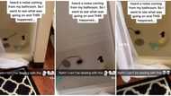 "It is not an alien": Lady who heard noise coming from her bathroom shares video of what she found