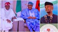 Why Buhari should cancel Tinubu's inauguration, hand over to Osinbajo, prominent presidential candidate reveals