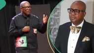 We're in shock": Labour Party raises concerns ahead of presidential election tribunal judgement