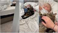 Mum opens room door, sees cat sleeping beside her baby, tells it to stand up in viral funny video