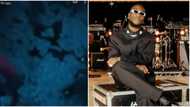 "Make OBO come outside": Dancefloor covered with foreign notes as Burna Boy storms LA club with box of money