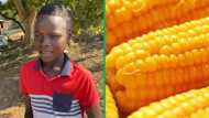 "Thank you so much": Philanthropist gifts street corn seller bundle of cash