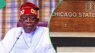 Tinubu’s Certificate: “No issue for Supreme Court to address”, top political analyst shares