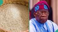 Cost of rice finally crashes as global prices hit multi-year lows
