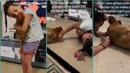 "She won't let me kill it": Little girl carefully safeguards chicken from mum, gives it makeover