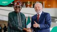 Nigeria, Brazil launch direct air connectivity through bilateral agreement