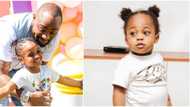 They look like twins: Fans gush over Davido's Hailey and Ifeanyi as singer shares photo of kids together