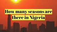 How many seasons do we have in Nigeria?