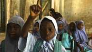 Big hit for Nigeria’s education system as society sues for fresh reform