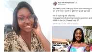 Why did he come back? Massive reactions as Nigerian lady begins job hunt for Uber driver who has MBA from UK