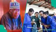 Over 41,000 Nigerians to benefit as NDE expands Renewed Hope employment scheme