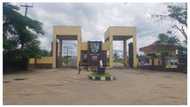 COVID-19: Amid third wave, doctor dies in Nigerian state