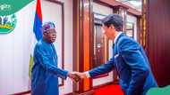 Tinubu responds after foreign diplomats report behaviour of Nigerians abroad