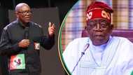 Labour Party: Why Peter Obi can’t work with Tinubu’s government