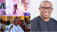 Atiku, Tinubu or Obi? Lagos-based pastor reveals who he will campaign, vote for in 2023