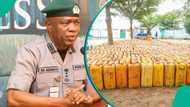 Nigeria Customs seizes 184,000 litres of petrol worth N181 million from smugglers