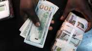 Naira exchange rate to US dollar improves in one month despite 46% drop in FX transactions
