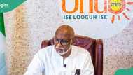 'Devastating': Akeredolu's son reveals how father died