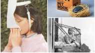 What are some of the worst inventions ever made? A list of 15 most useless
