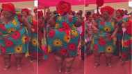 "Confident queen": Plus-sized woman in fine ankara gown dances and shakes her body with energy, people react