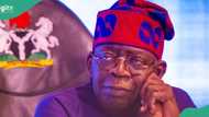 President Tinubu advises Nigerians living abroad to return to Nigeria, gives reasons