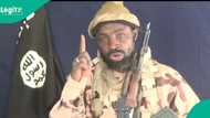 Yadda Shekau ya yi jinya a Kano, ya boye lokacin ana fama da yakin Boko Haram