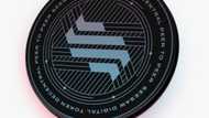 Could $1000 in Seesaw Protocol Return Millions Like Dogecoin & Shiba Inu?