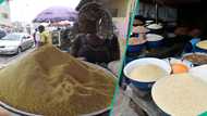 Dealers reduce prices of white, yellow garri, new rates emerge