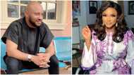 Nigerians agree with Iyabo Ojo as they say all Nollywood actors cheat on their partners