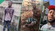 Man who relocated abroad for greener pastures flaunts transformation, video goes viral