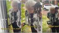 Elderly woman confronts neighbour about their baby in video, says the kid's cries disturbs her dog