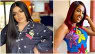 Keep my topic out of your dirty mouth: Bobrisky slams The Johnson's star Seun Osigbesan after she cursed him