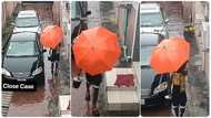 "Marriage men dey do this one too": Lady sends husband to grind pap in rain