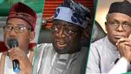 Arewa group disowns El-Rufai, Bala Mohammed for probing Tinubu’s economic agenda