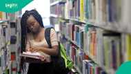 Why Nigeria should reduce its years of secondary and university education